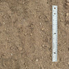 Soil - Topsoil (Sandy Loam)