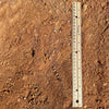 Sand - Red Sand